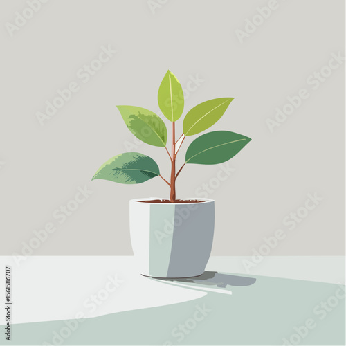 single plant in a pot on a clean surface with soft shadows