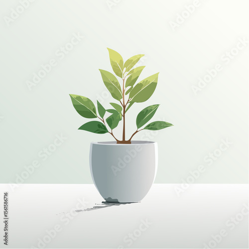 single plant in a pot on a clean surface with soft shadows