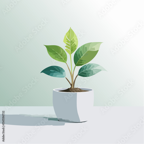 single plant in a pot on a clean surface with soft shadows