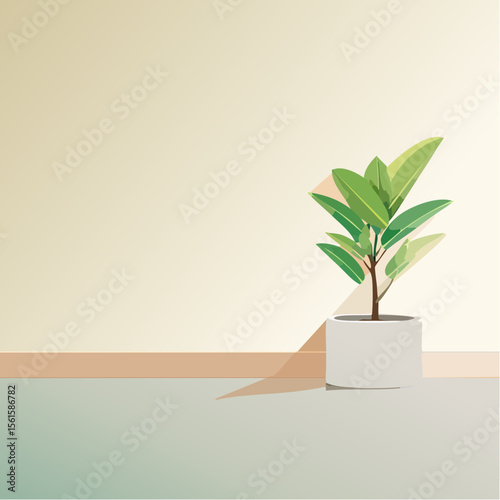 single plant in a pot on a clean surface with soft shadows