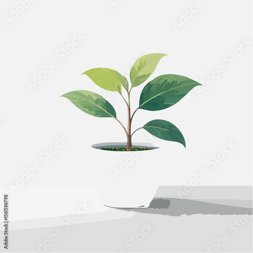 single plant in a pot on a clean surface with soft shadows