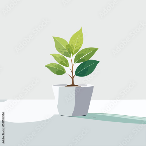 single plant in a pot on a clean surface with soft shadows