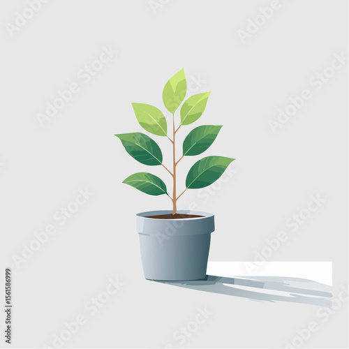 single plant in a pot on a clean surface with soft shadows