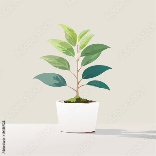 single plant in a pot on a clean surface with soft shadows