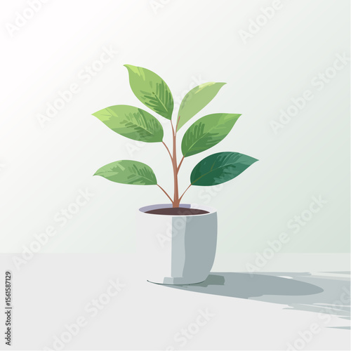 single plant in a pot on a clean surface with soft shadows