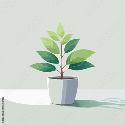 single plant in a pot on a clean surface with soft shadows