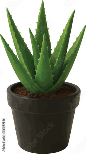 Realistic aloe vera plant