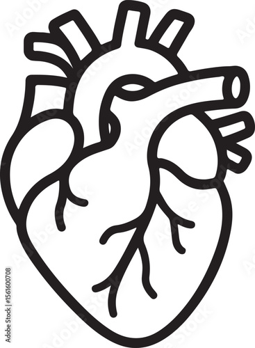 Medical-style heart icon featuring anatomical precision with a minimalist flair. Ideal for cardiology, wellness apps, health awareness campaigns, or hospital graphics. Clear white background for seaml