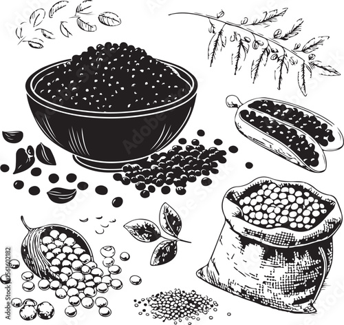 Artistic hand drawn illustration of various black beans and dried ingredients elements