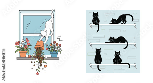 Charming Feline Companions Adorning a Window Sill and Shelves