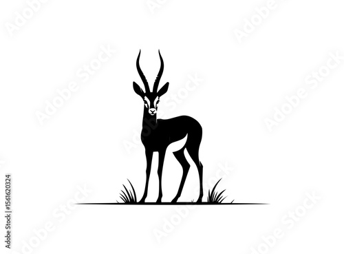 A striking, black and white silhouette of a gazelle, likely a springbok, is featured.