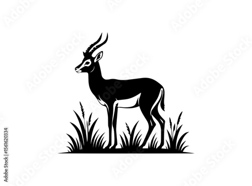 A striking, black and white silhouette of a gazelle, likely a springbok, is featured.