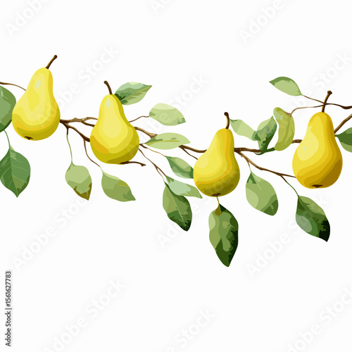 Ripe yellow pears hanging on branch with green leaves  
