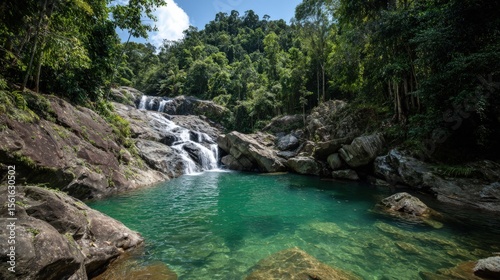 Tranquil Stream Flowing Through Dense Forest with Cascading Water and Rocky Terrain.