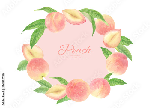 水彩手書きのジューシーな桃の背景フレーム