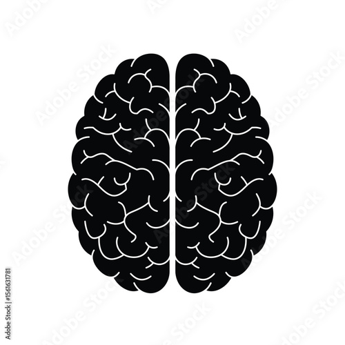 Human brain isolated on white with decorative floral and fruit patterns, a detailed medical illustration of the mind's anatomy