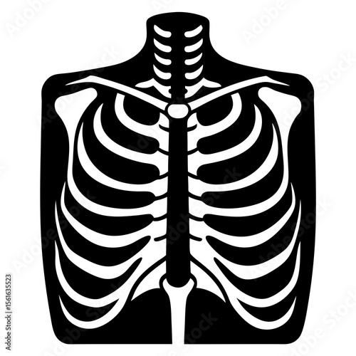 x ray of a human skeleton