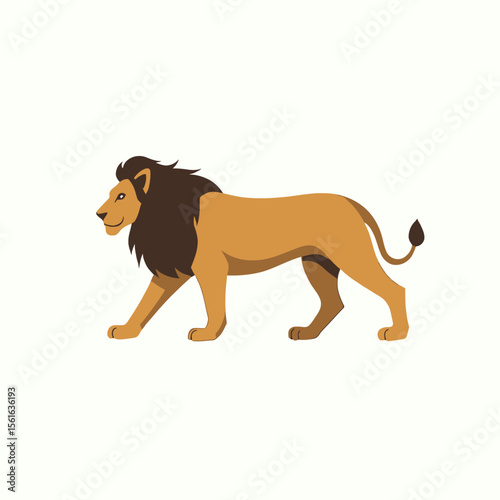 A majestic male lion with a dark brown mane is walking gracefully from left to right, showcasing its powerful build and regal presence against a clean white background.