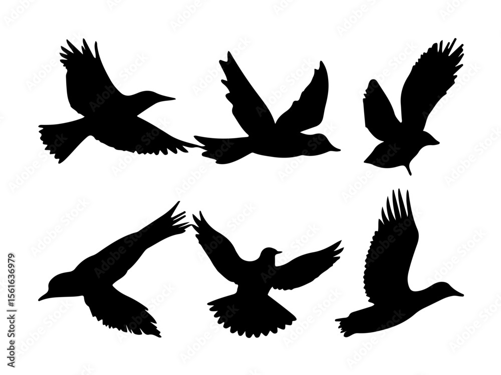 Fototapeta premium Flying Bird Silhouette Set