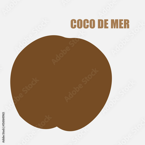 Rare Coco de Mer nut icon, sea coconut, coco de mer, or double coconut. Lodoicea fruit