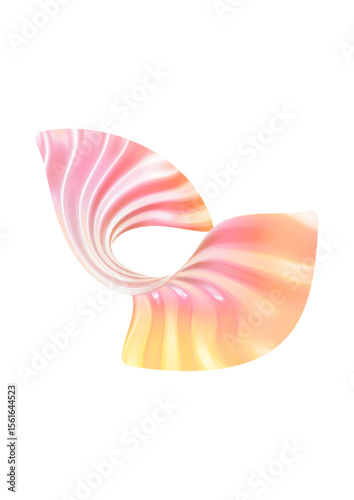 shell on a white background