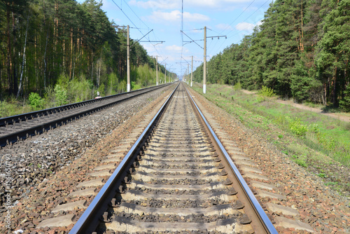 an empty Railroad Tracks Through a Forest going to horizon travelling
