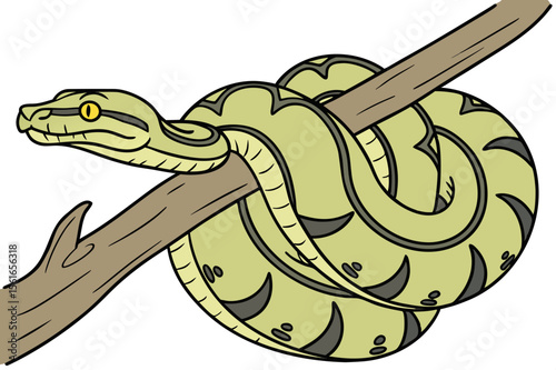 Coiled Python Snake on Branch - Reptile Wildlife Illustration