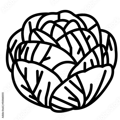 Cabbage Icon