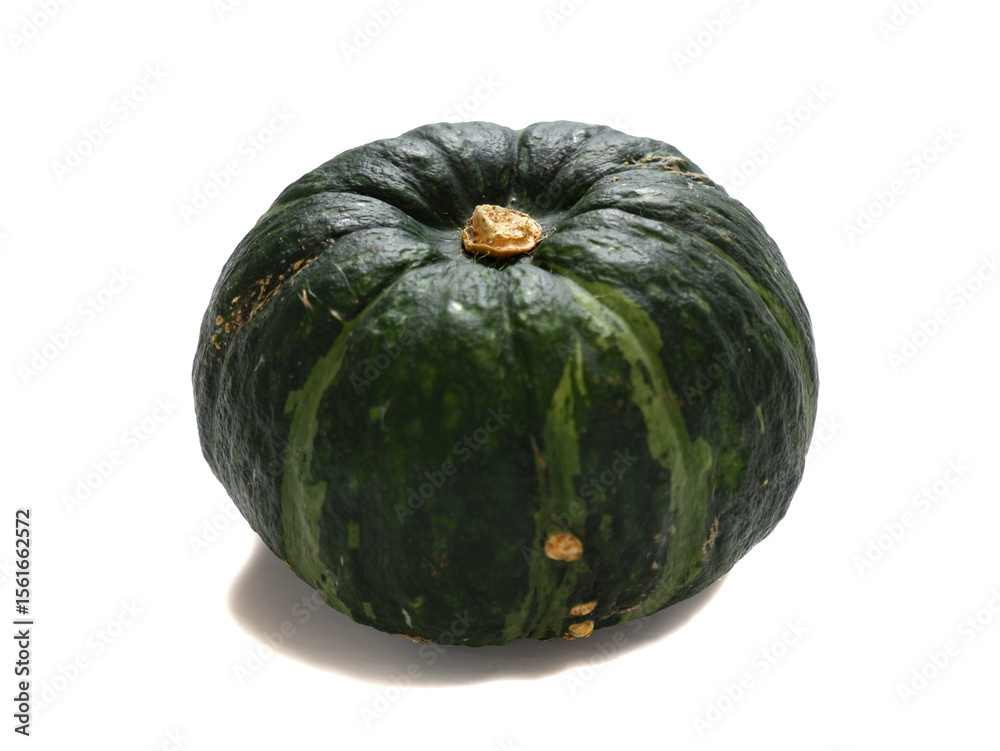 chestnut pumpkin on white background chestnut pumpkin on white background