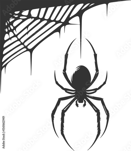 Spider vector silhouette