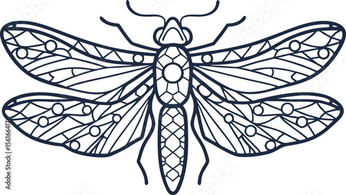 Intricate dragonfly line art detailed insect illustration with geometric patterns and symmetrical ornamental wings