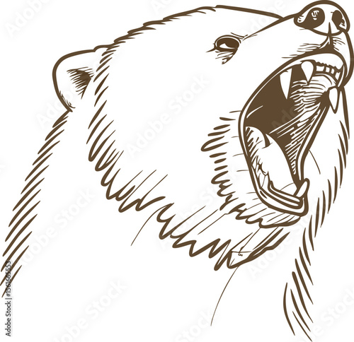 Roaring bear head sketch angry wild animal illustration with open mouth, sharp teeth, aggression, wildlife danger