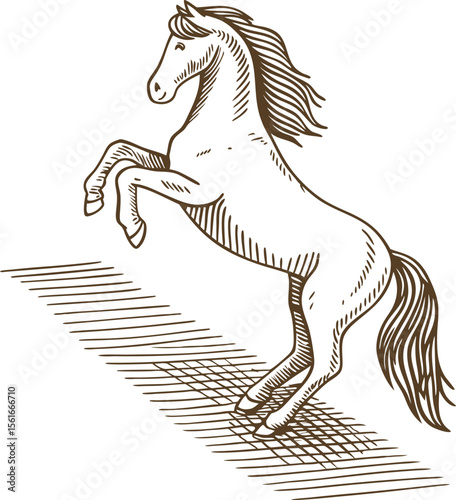 Rearing horse sketch standing equine illustration, monochrome line art, dynamic animal movement, classic drawing