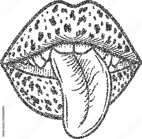 Dotwork art illustration lips with extended tongue, pop art expression, black and white stippling