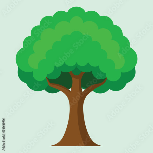 Mature deciduous tree with full rounded canopy in vector format