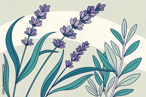 High quality hdr botanical illustration of lavender flowers in bloom