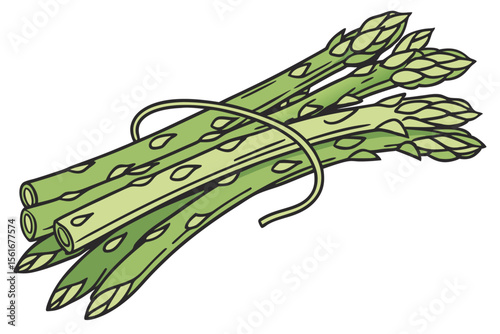 Vibrant illustration of fresh green asparagus spears in a bunch