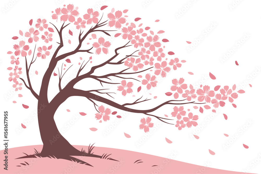 Fototapeta premium Beautiful cherry blossom tree in full bloom with delicate petals