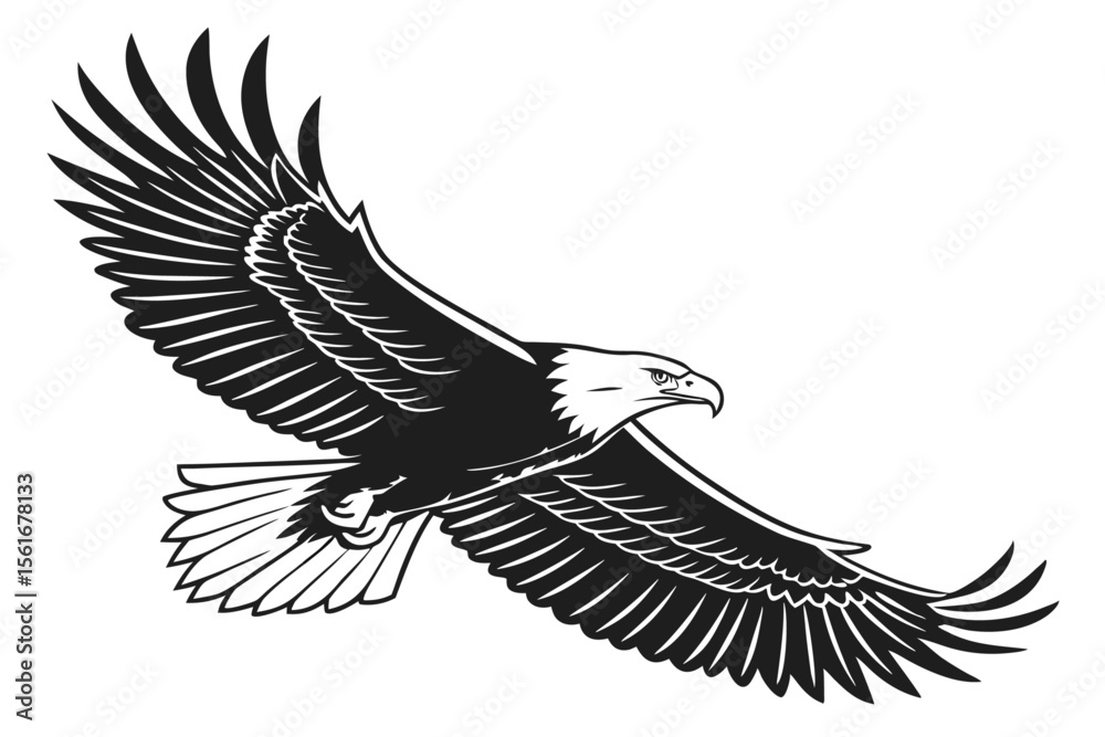 Fototapeta premium Majestic eagle in flight vector illustration with bold lines