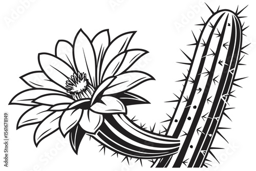 Elegant black and yellow outline of a blooming desert cactus flower