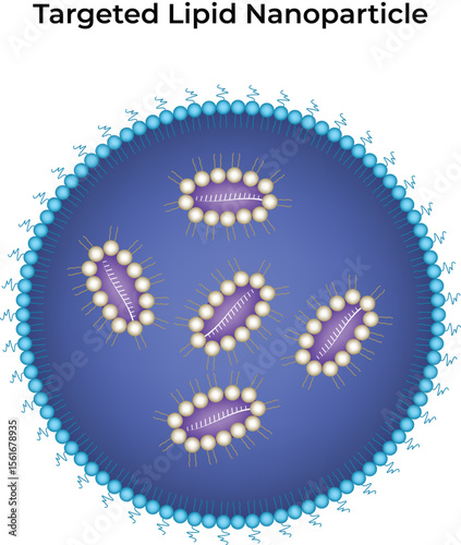 Targeted Lipid Nanoparticle Design Vector Illustration