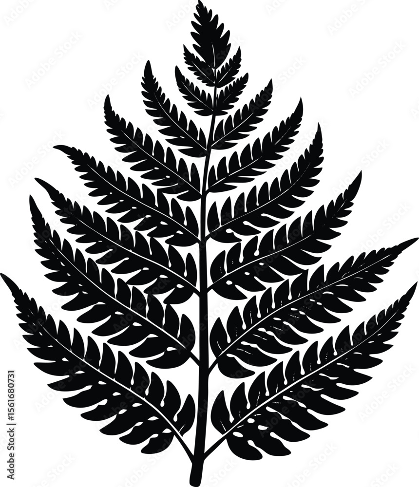 Naklejka premium fern frond silhouette isolated on white background