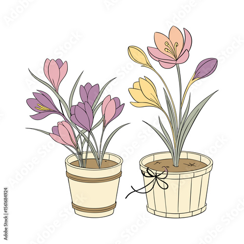 Flower collection