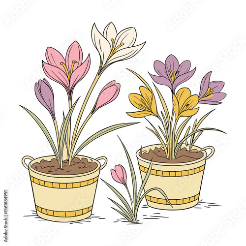 Flower collection