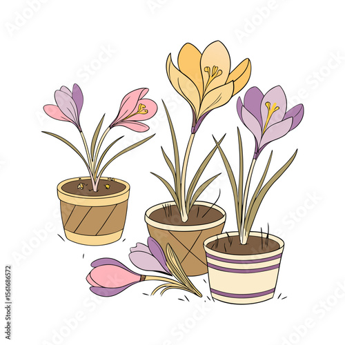 Flower collection