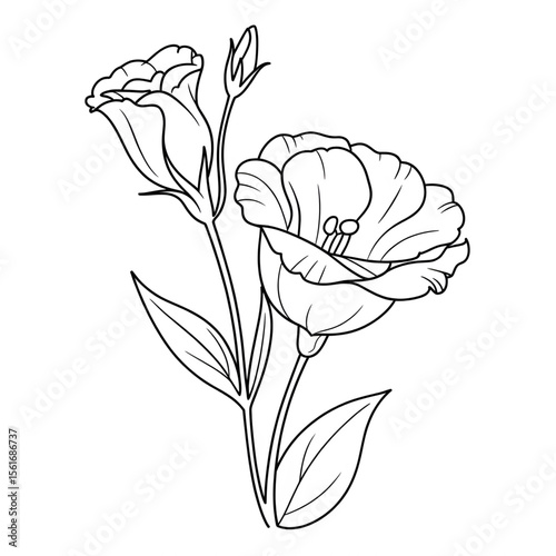 Illustration vector of a lisianthus line art flower