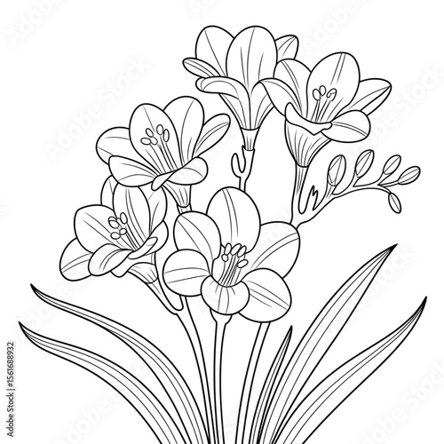 Illustration vector of a freesia line drawing art