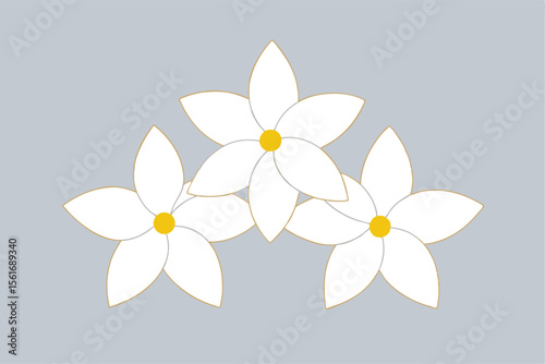Delicate white jasmine flowers with a soft floral design aesthetic