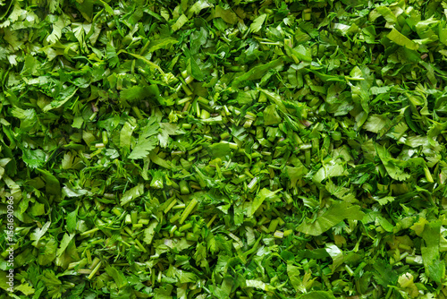Chopped fresh coriander herbs background texture. Organic herbal food ingredient. Healthy eating concept.