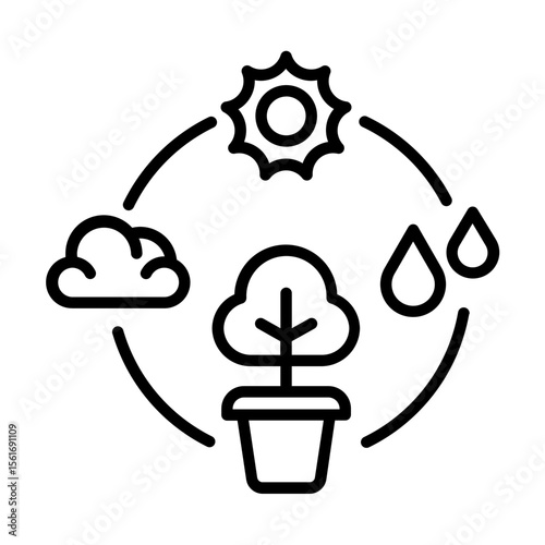 photosynthesis